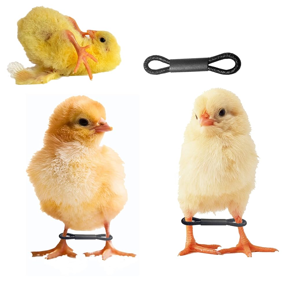 HASTHIP® Baby Chicken Splay Leg Hobble HASTHIP® Baby Chicken Splay Leg Hobble